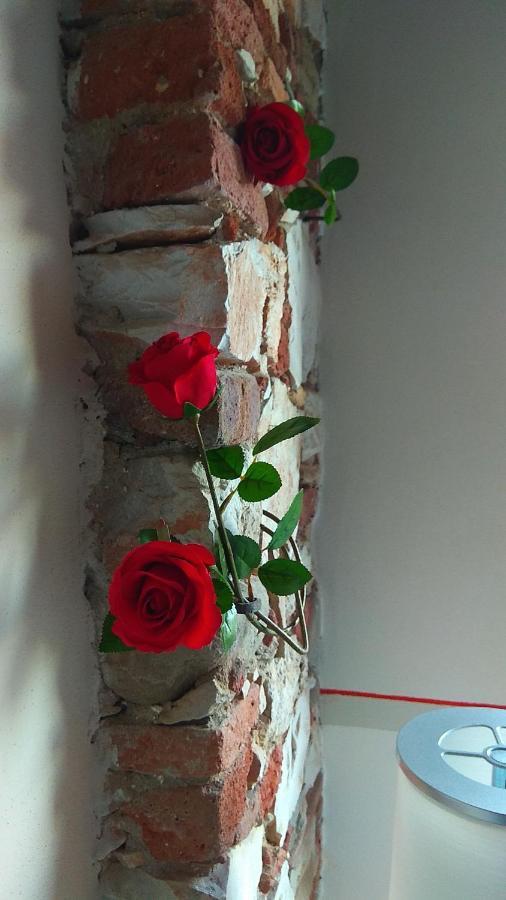 Le Rondini Di San Donato Bed and Breakfast Lucca Eksteriør billede