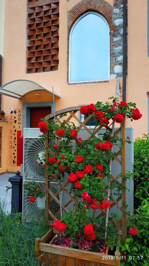 Le Rondini Di San Donato Bed and Breakfast Lucca Eksteriør billede