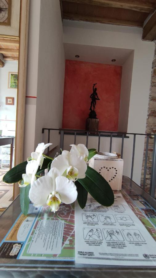 Le Rondini Di San Donato Bed and Breakfast Lucca Eksteriør billede